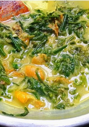Foto resep Gulai Pakis