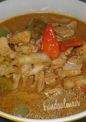 Foto resep Tongseng ayam seger-bikin nambah trusss