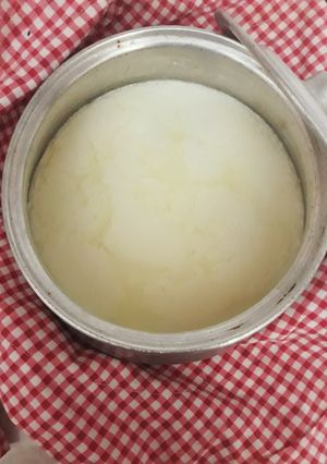 عکسی از دستور ماست خونگی