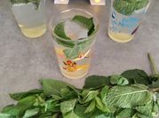 Une photo de sirop menthe