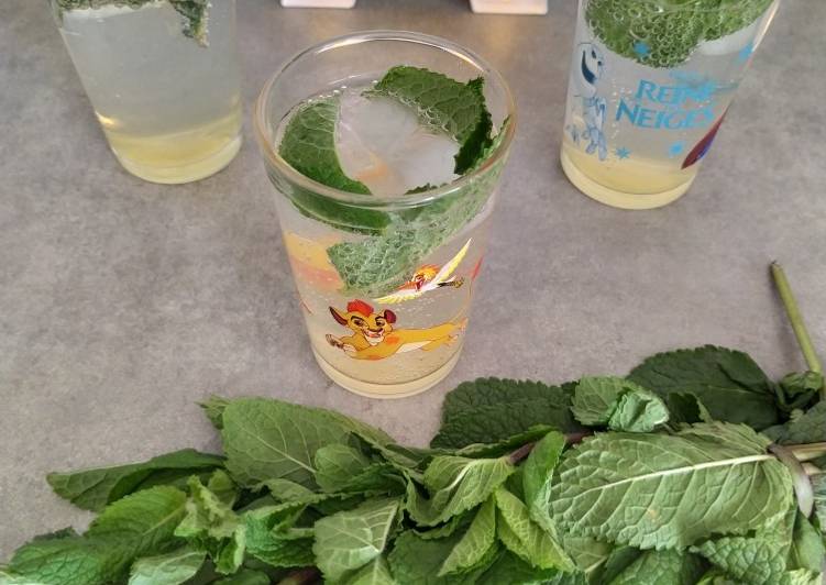 Easiest Way to Make Yummy Boisson fraîche menthe/citron