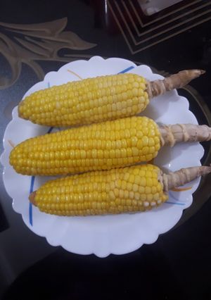 عکسی از دستور ذرت شیرین 💖