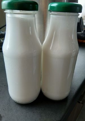Une photo de Lait de coco maison