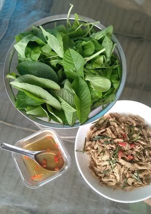 Hình của món Nem chạo chay (nấm bào ngư).