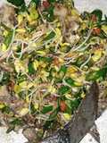 Tumis ikan asin cambah cabe ijo