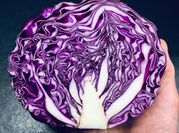 Una foto de chucrut repollo morado