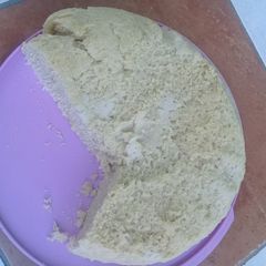 A picture of Dumpling.