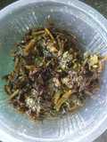 Kalmi Saag
