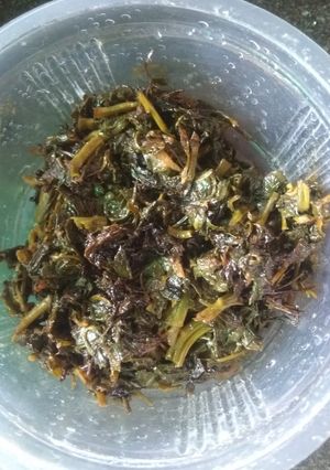 A picture of Kalmi Saag.