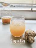 Ginger Bug