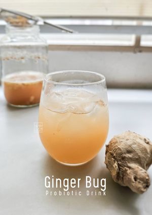 Gambar Ginger Bug