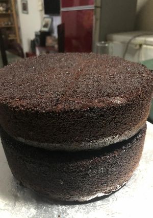 A picture of Simple Fudge Cake.