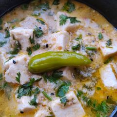 A picture of Dahi paneer (pure vegetarian).