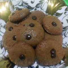 A picture of Chocolate chip.
