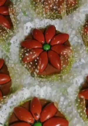 صورة لوصفة صابلي بريستيج بشكل راقي