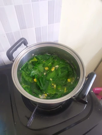 Cara Sederhana Membuat Resep  Sayur Bening Daun Katu yang Bikin Ngiler, Lezat Sekali