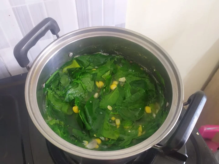 Cara Mudah Membikin Resep  Sayur Bening Daun Katu yang Lezat, Lezat Sekali