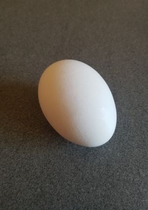 A picture of Hard Boiled Egg.