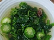 Gambar sayur bayam gambas