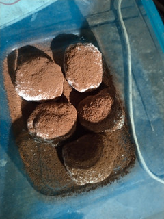 Foto resep Mochi wafer Karamel