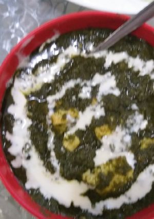 A picture of Spinach paneer.
