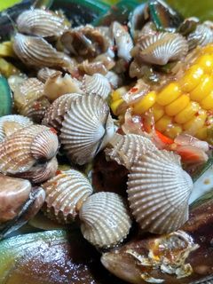 Foto resep Kerang saus padang