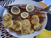 Una foto de caballa horno