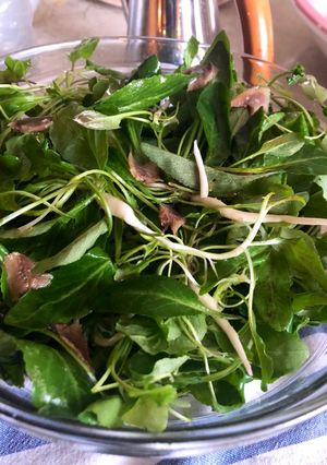 Foto di Raponzoli con salsa