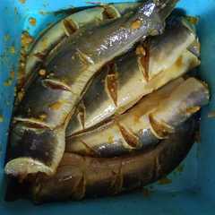 รูปของ Lele siap goreng
