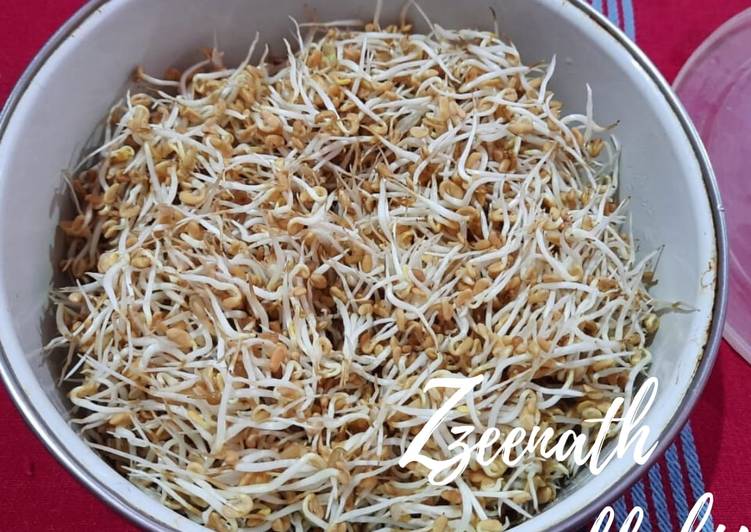Simple Way to Make Perfect Fenugreek Seed Sprouts or Methi Daana Sprouts Cooking Basics for Beginners