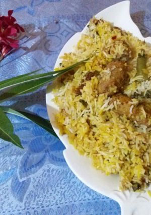 A picture of Kafta kbab biryani.