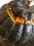 Zapallo cabutia relleno