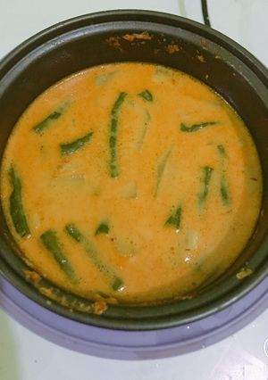 Foto resep Sayur lodeh labu siam dengan magic com dan fibercreme