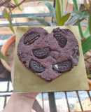 Gooey Oreo Brownie