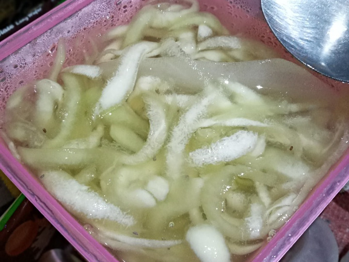 Cara Gampang Membuat Es Melon Serut Ekonomis Untuk Dijual