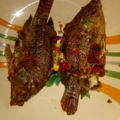 A picture of Fish papper.