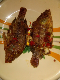A picture of Fish papper.
