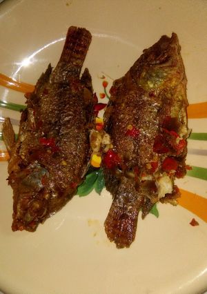 A picture of Fish papper.