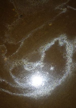 Foto resep Saus blackpaper/ladahitam