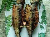 Cencaru Sumbat