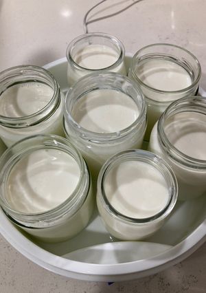 Una foto de Yogur cremoso