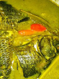 Foto resep Ikan Mas Santan Bumbu Kuning