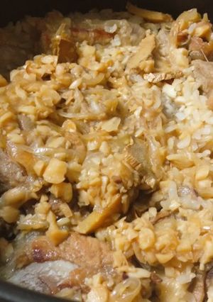 A picture of Marinated, Pan-Fried, and Braised Onion Pork Ribs with Rice 🍖.