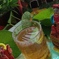 A picture of Giloy kadha (guduchi immunity booster) juice 💚🍵.