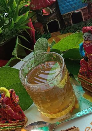 A picture of Giloy kadha (guduchi immunity booster) juice 💚🍵.