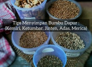Foto resep Tips Menyimpan Ketumbar, Kemiri, Jinten, Adas, Merica