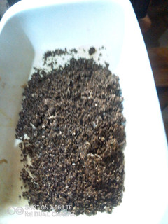 A picture of Homemade Black Pepper.