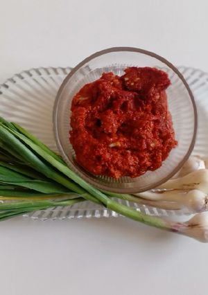 લીલા લસણની સ્પાઇસી ચટણી (Lila Lasan Spicy Chutney Recipe In Gujarati) રેસીપી મુખ્ય ફોટો