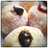 Donat Bomboloni super empuk dan lembut