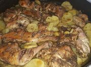 A picture of oregano chicken